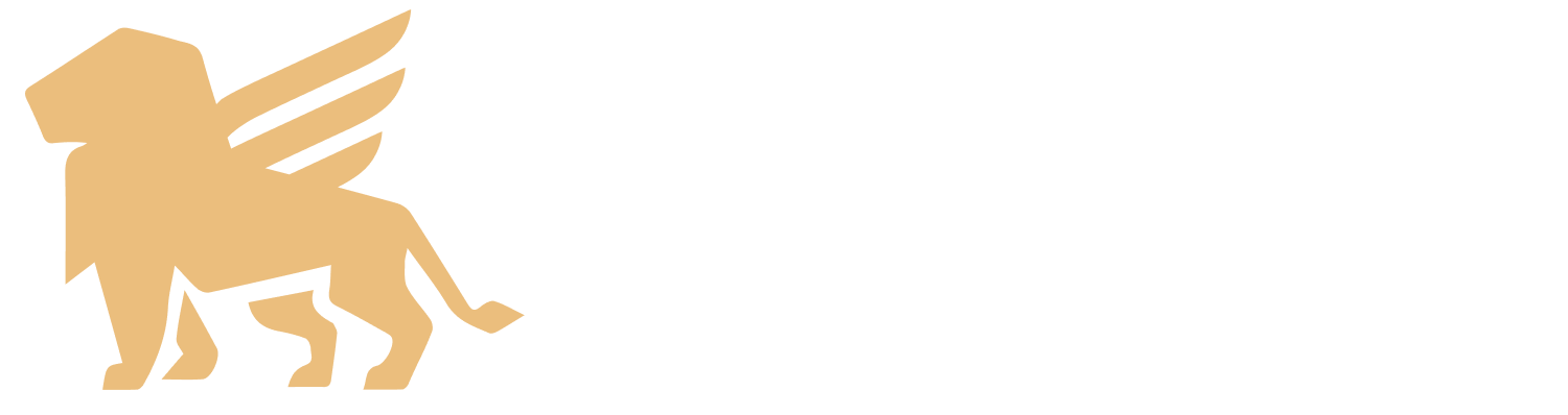 Fairspin_logo